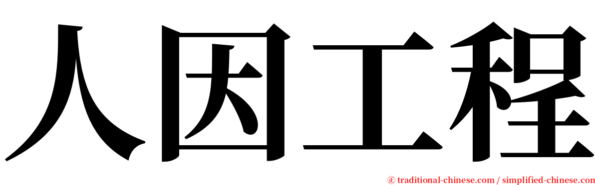 人因工程 serif font