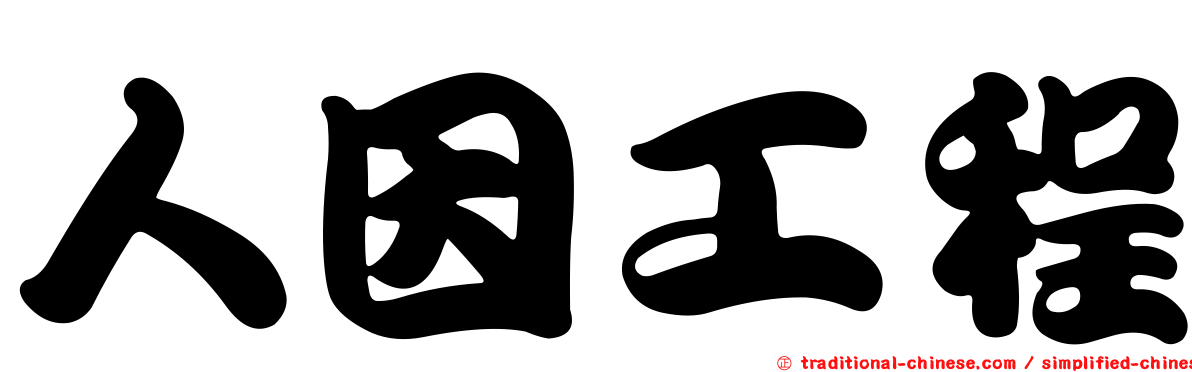 人因工程