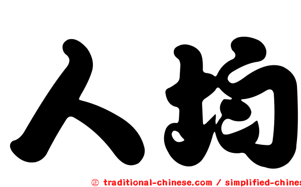 人均