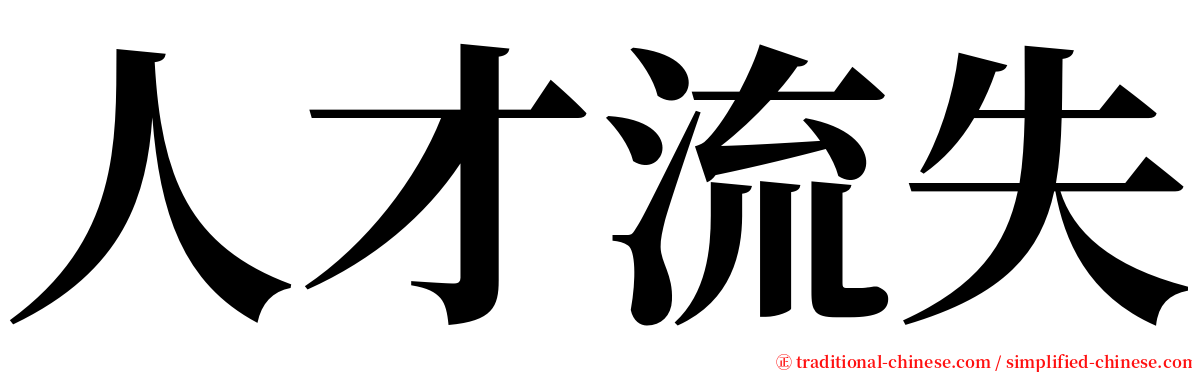 人才流失 serif font