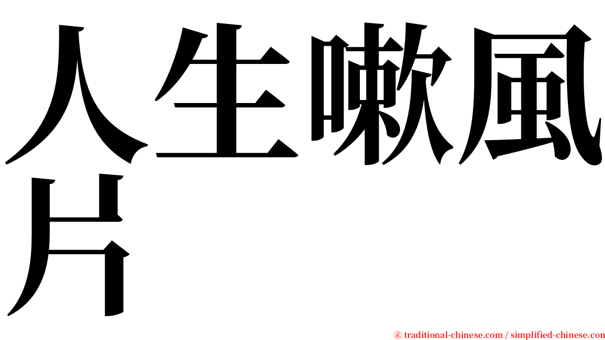 人生嗽風片 serif font