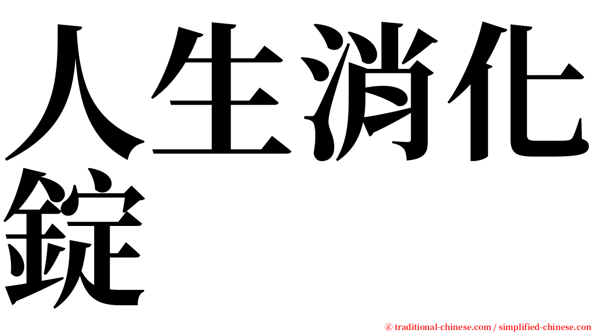 人生消化錠 serif font