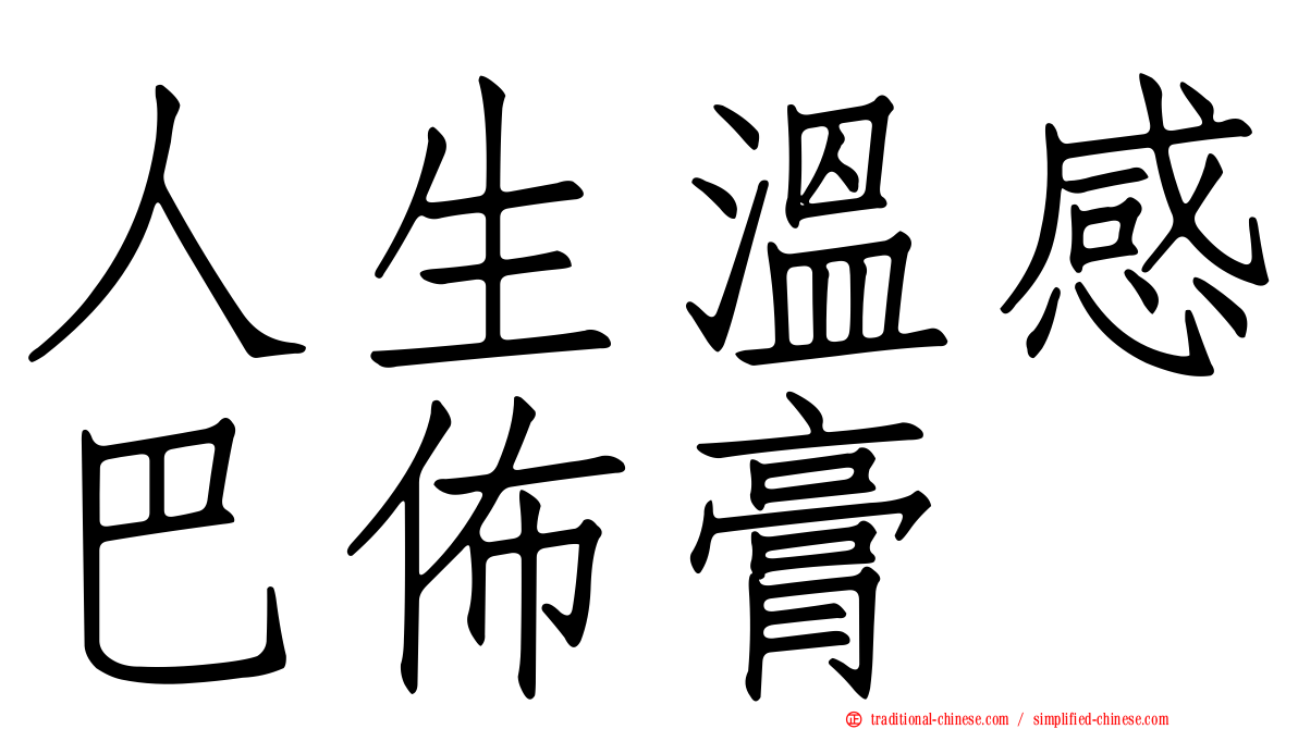 人生溫感巴佈膏