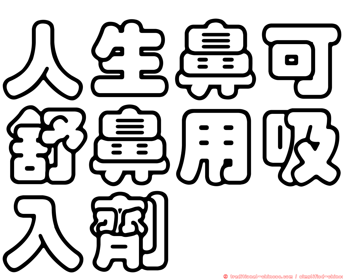 人生鼻可舒鼻用吸入劑