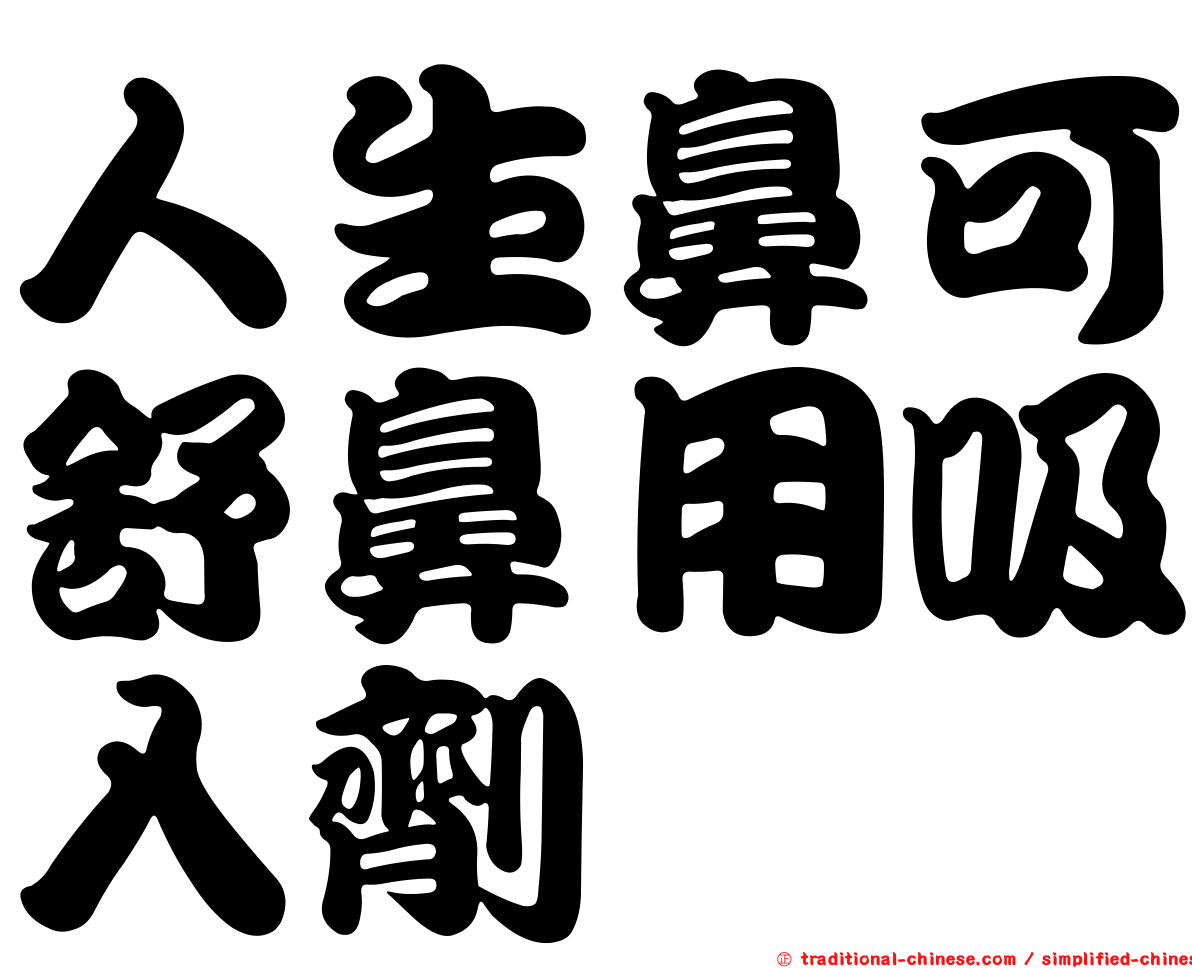 人生鼻可舒鼻用吸入劑