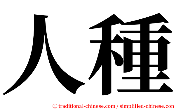 人種 serif font