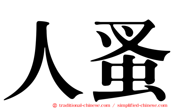 人蚤
