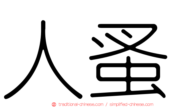 人蚤