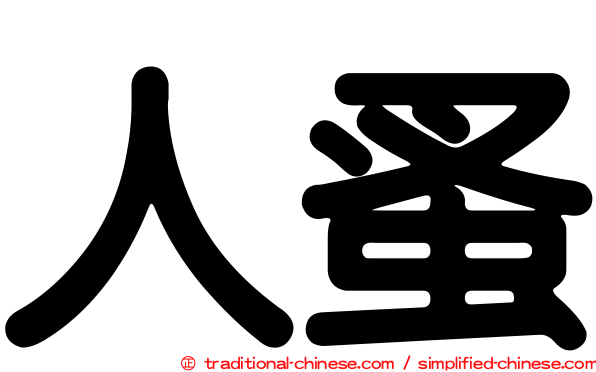 人蚤
