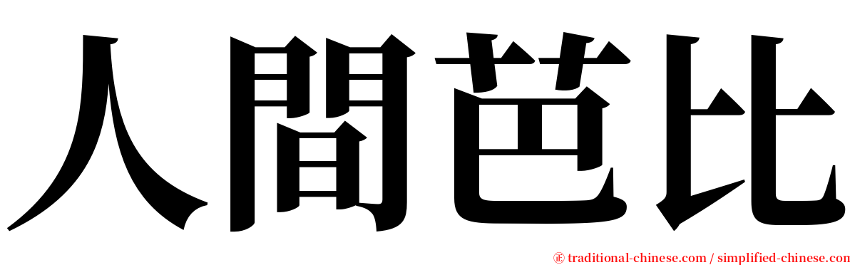 人間芭比 serif font