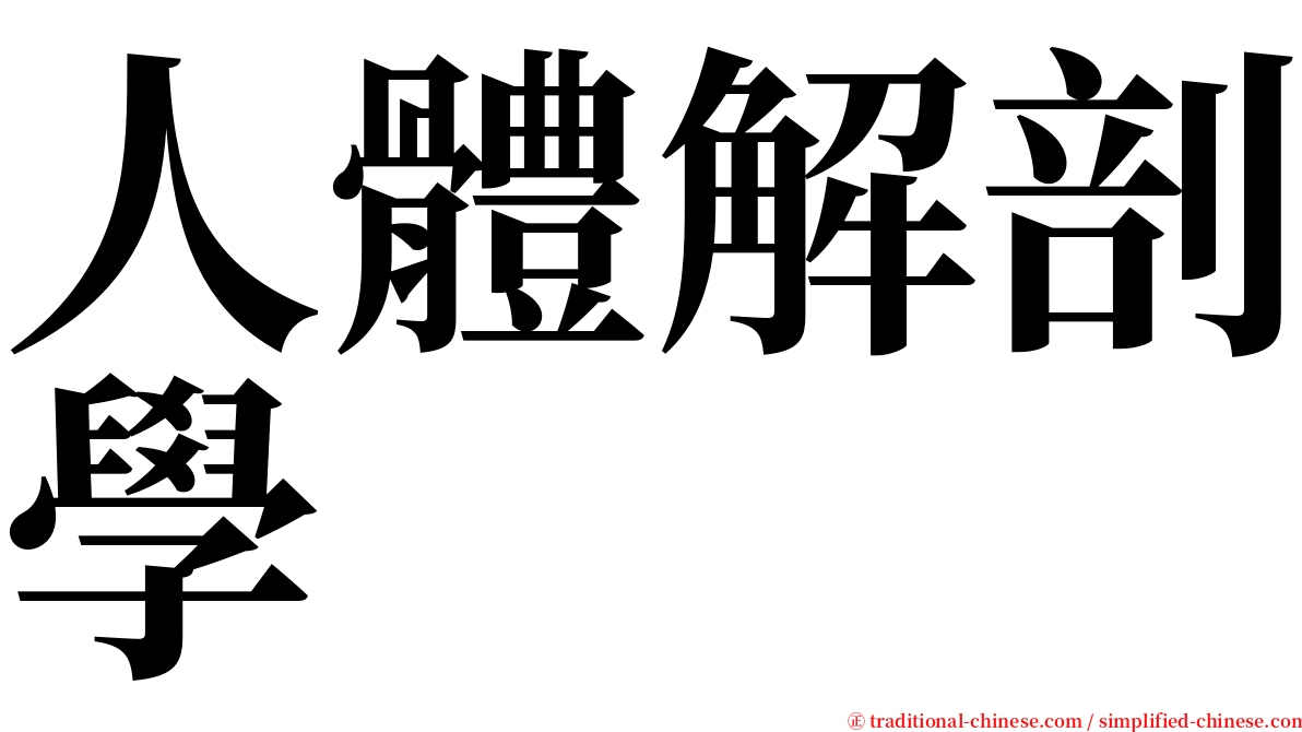 人體解剖學 serif font