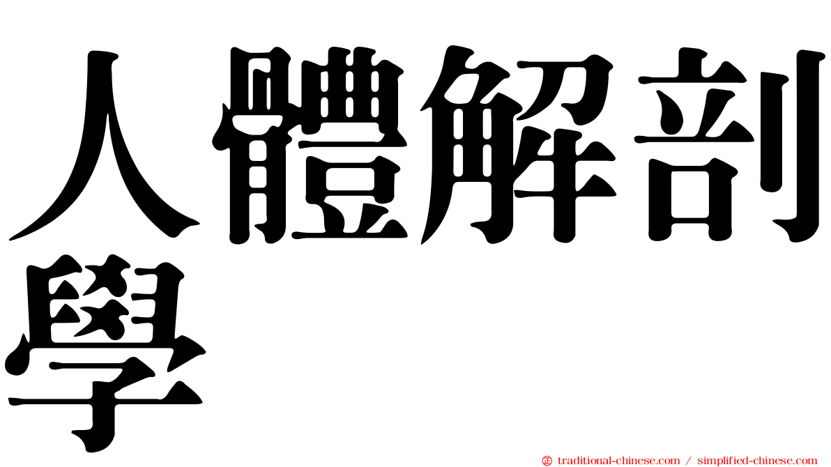 人體解剖學