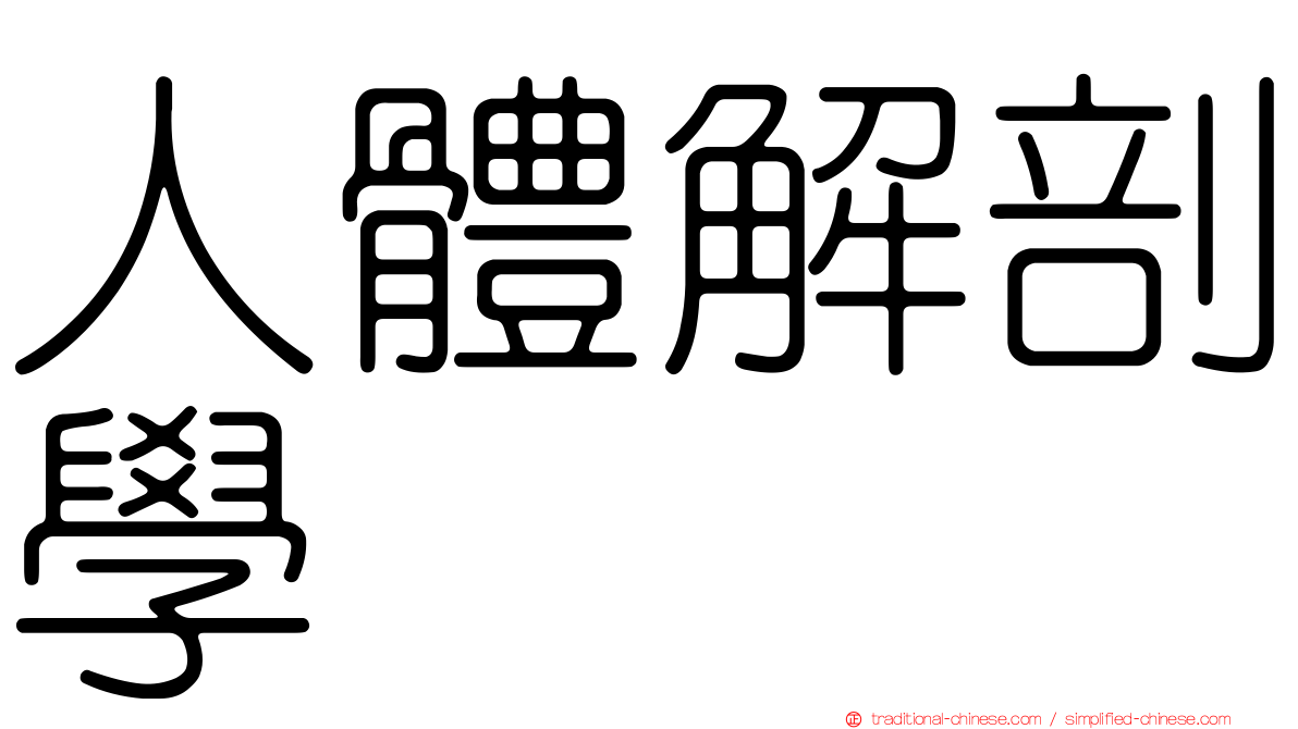 人體解剖學