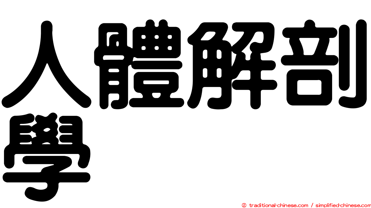 人體解剖學