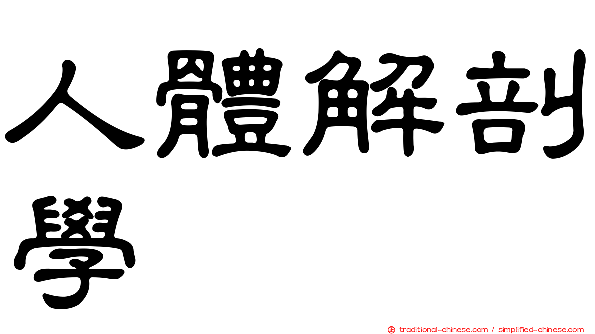 人體解剖學