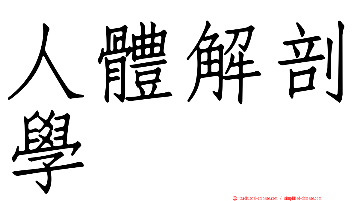 人體解剖學