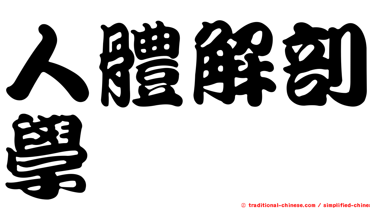 人體解剖學