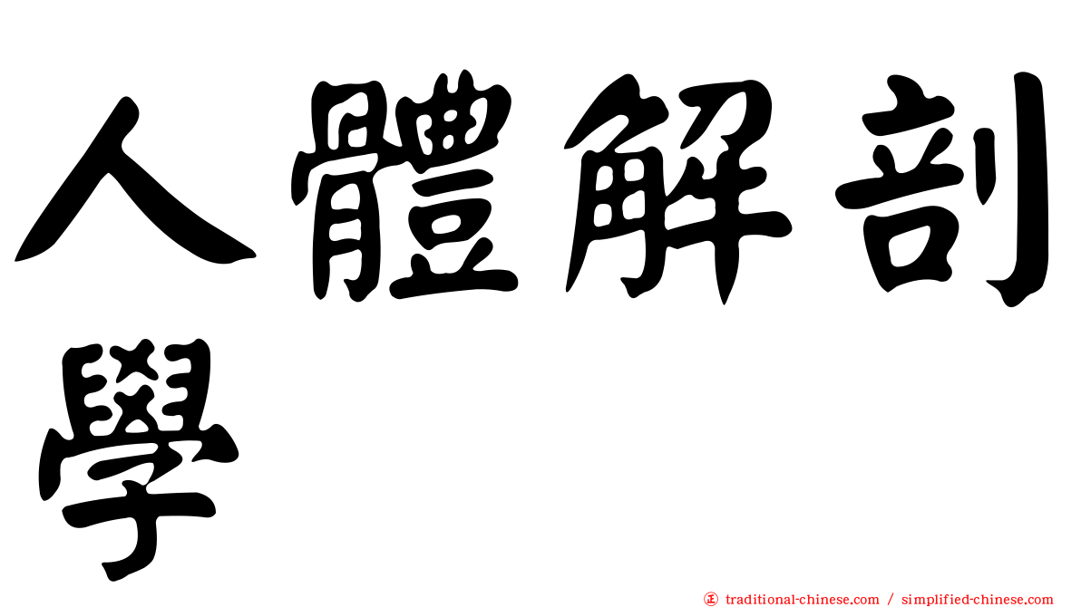 人體解剖學