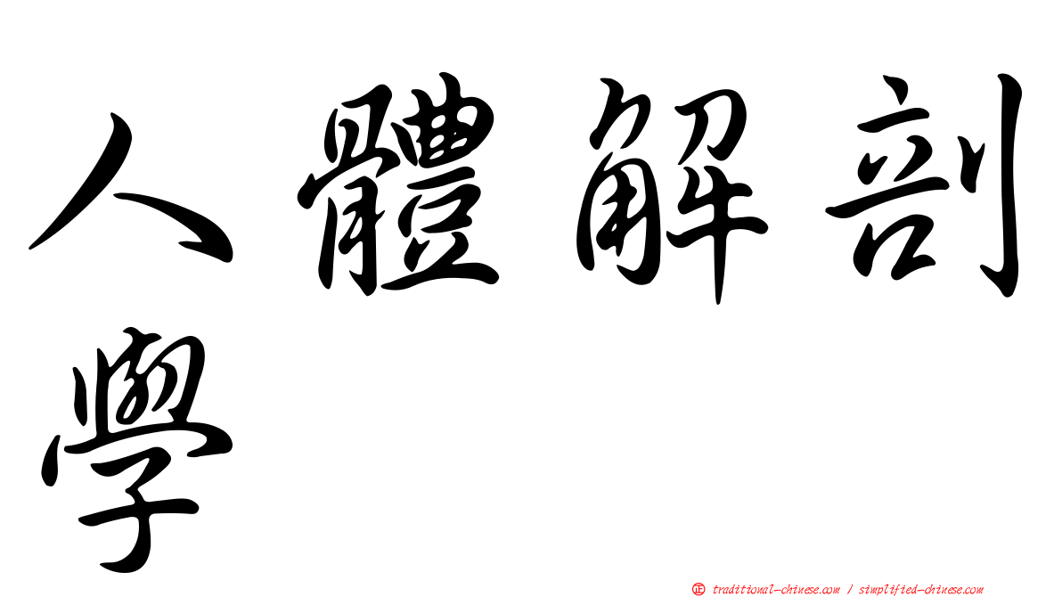 人體解剖學