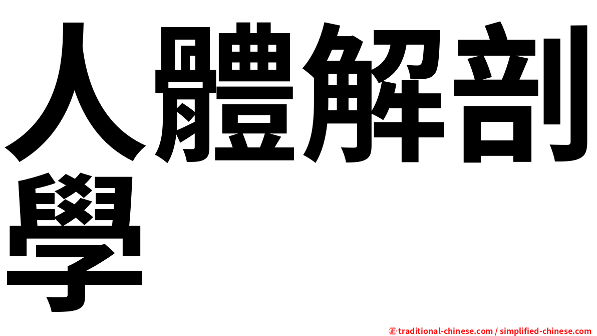 人體解剖學
