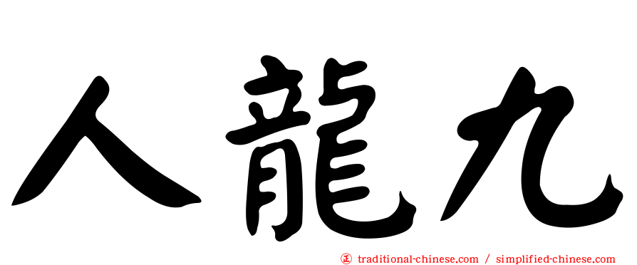 人龍九