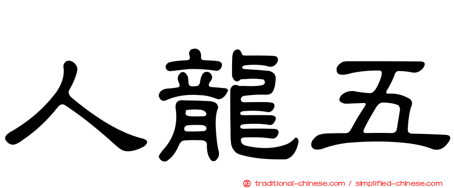 人龍五