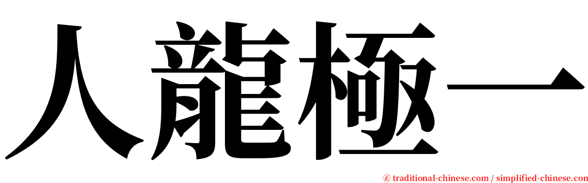 人龍極一 serif font