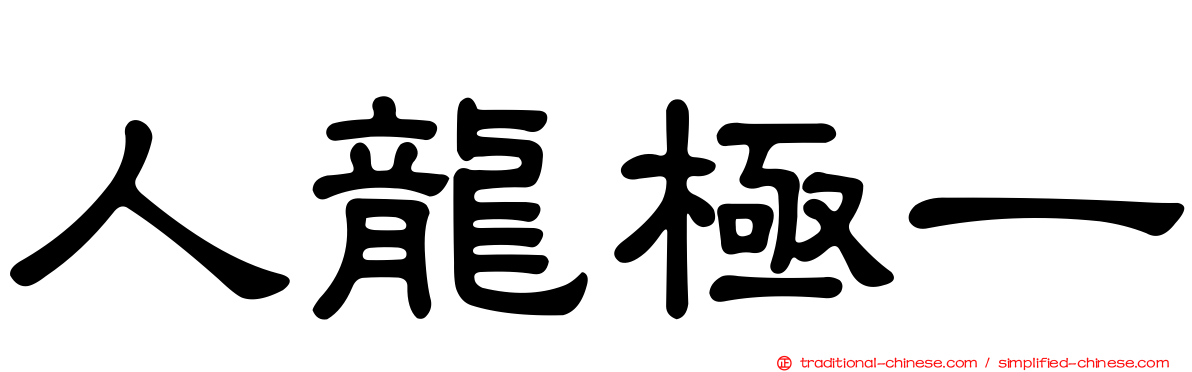人龍極一