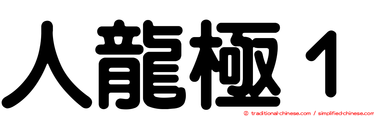 人龍極１