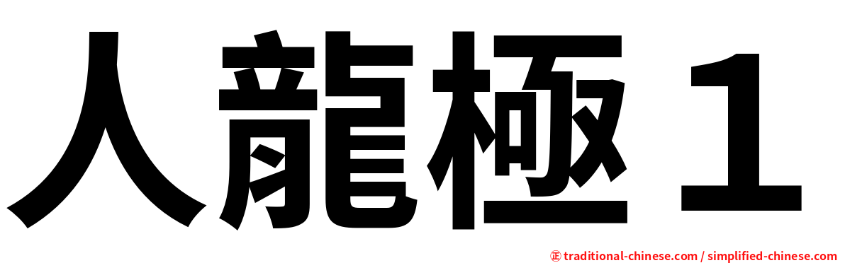 人龍極１
