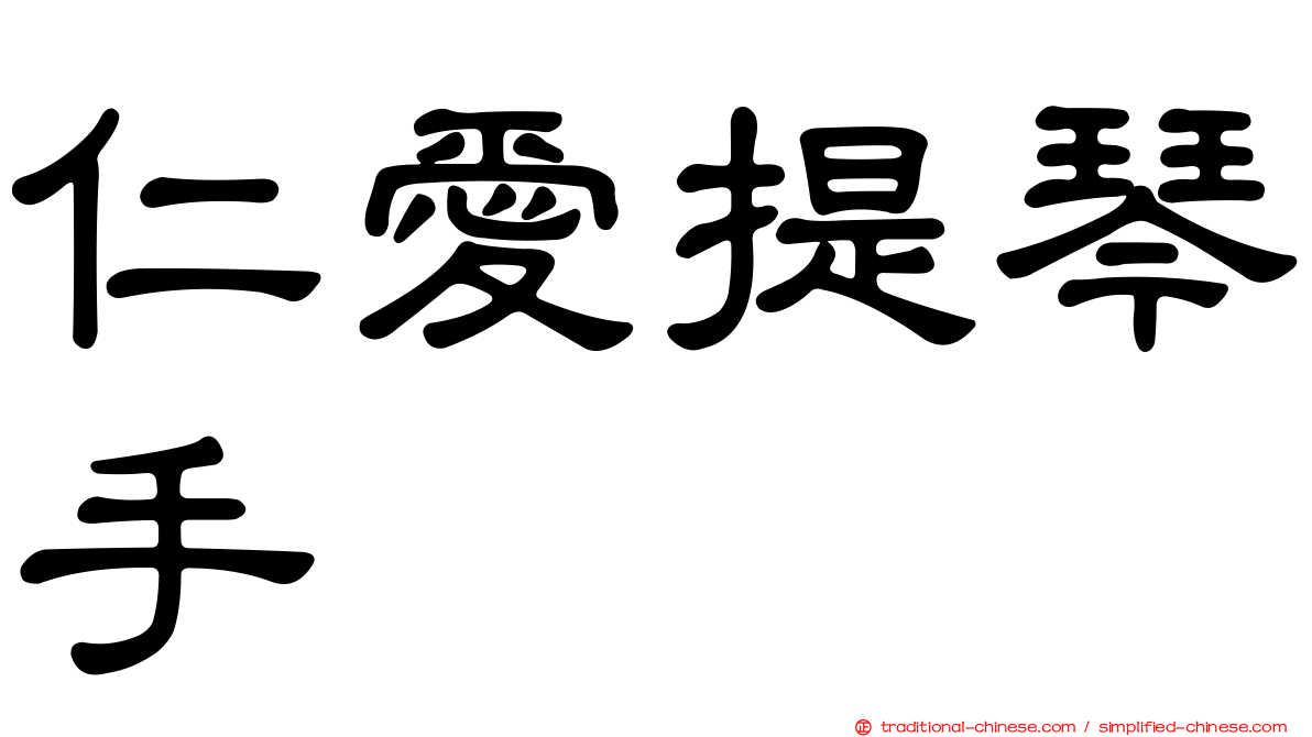 仁愛提琴手