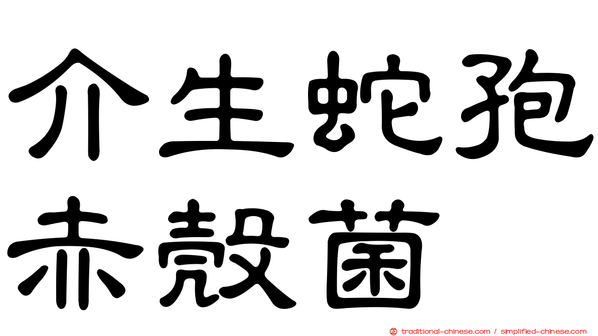 介生蛇孢赤殼菌