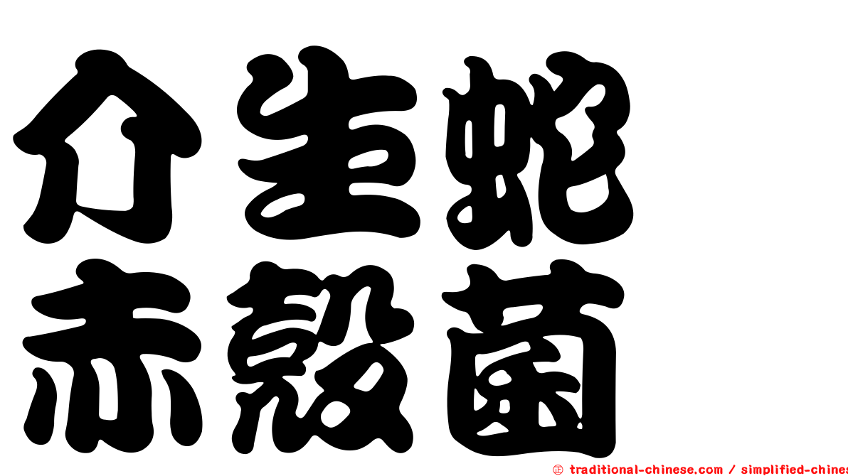 介生蛇孢赤殼菌