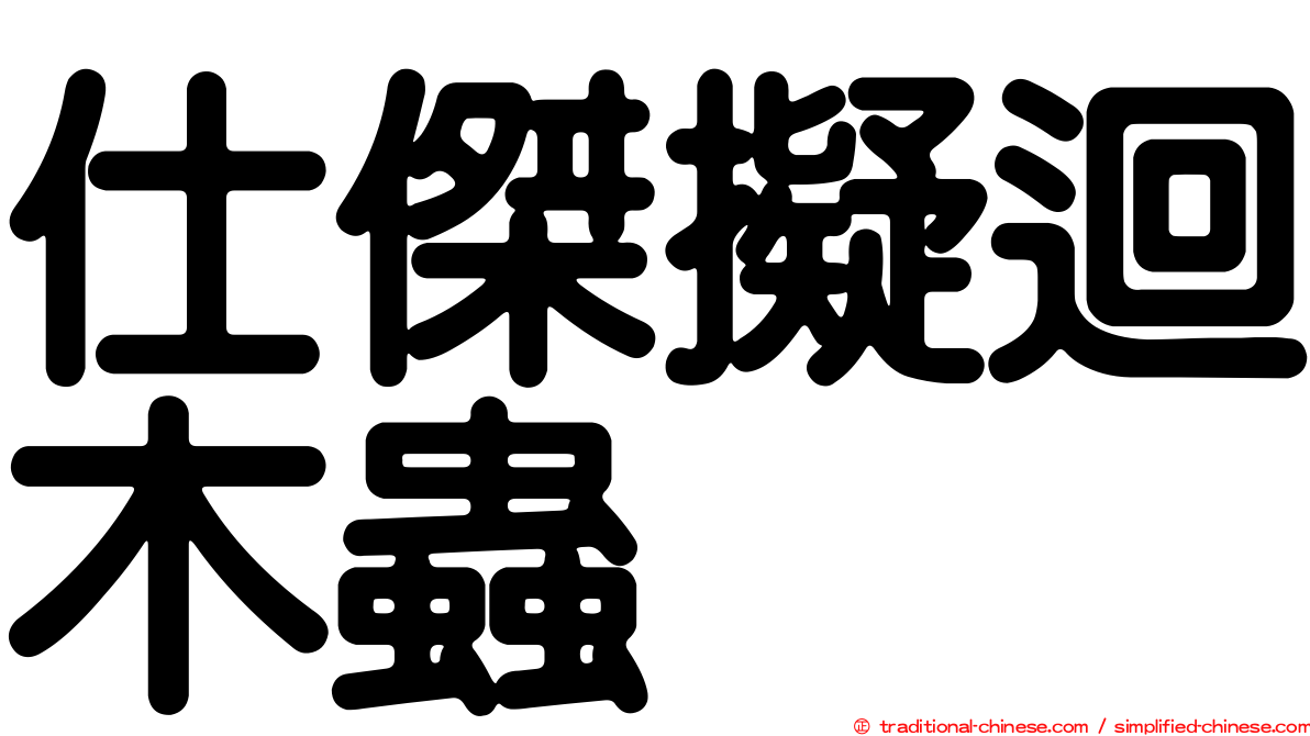 仕傑擬迴木蟲