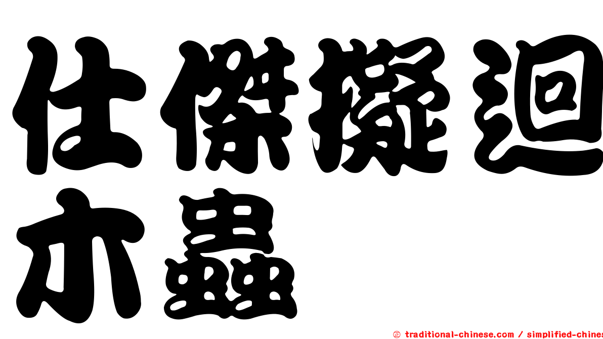 仕傑擬迴木蟲