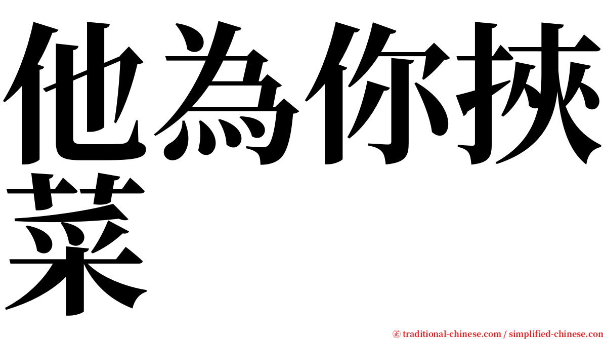 他為你挾菜 serif font