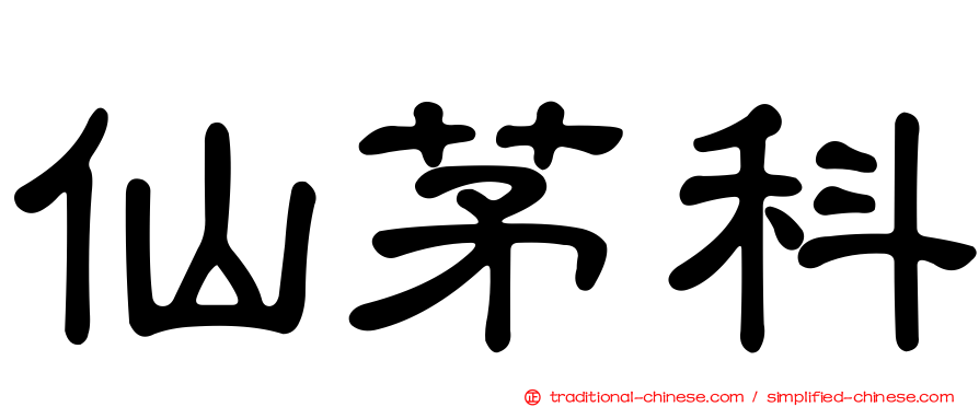 仙茅科