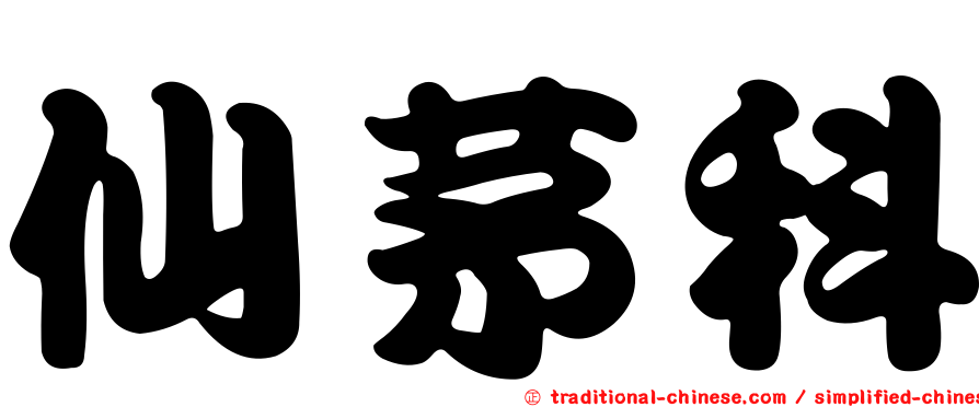 仙茅科
