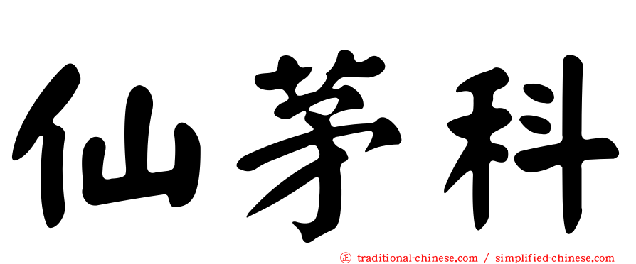 仙茅科