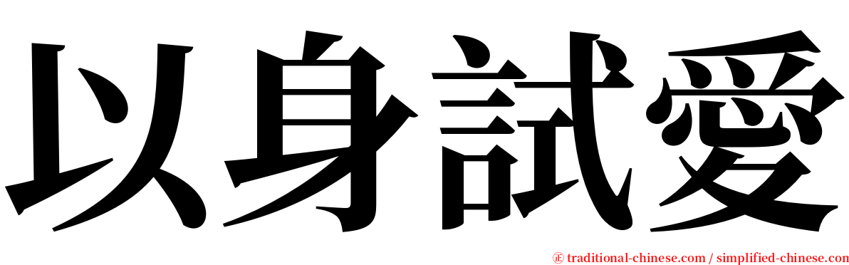 以身試愛 serif font