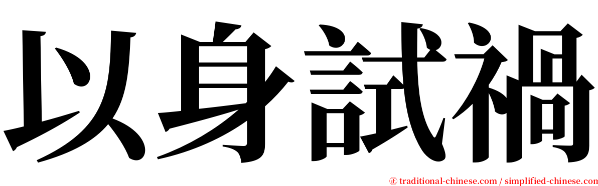 以身試禍 serif font