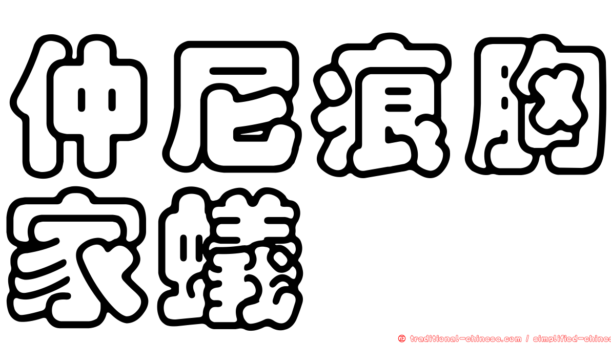 仲尼痕胸家蟻