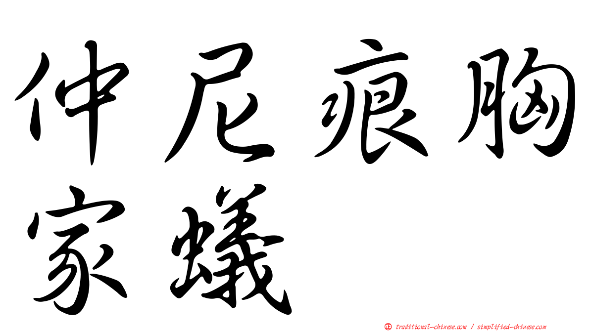 仲尼痕胸家蟻
