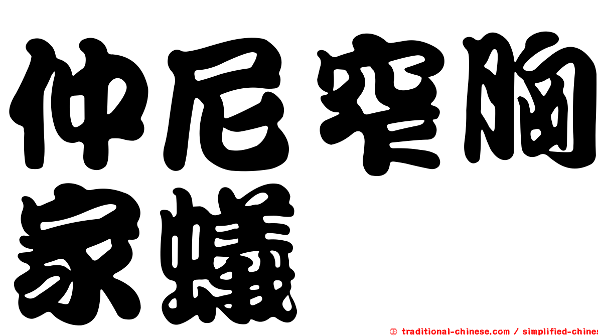 仲尼窄胸家蟻