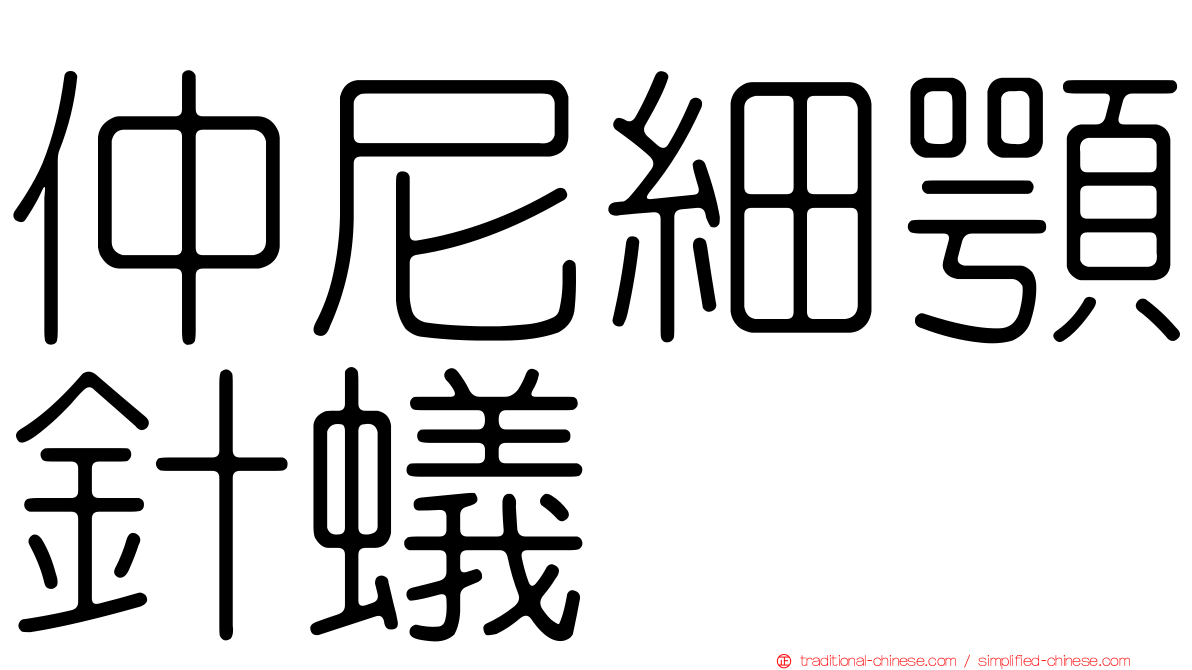 仲尼細顎針蟻