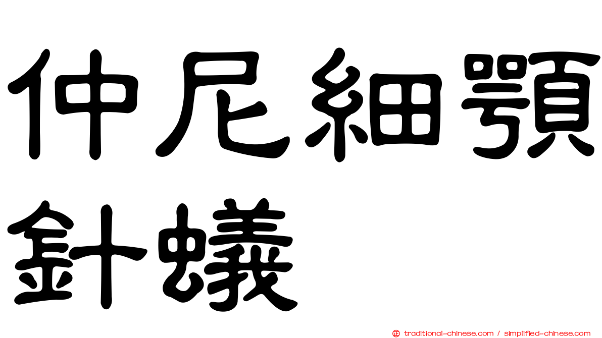 仲尼細顎針蟻