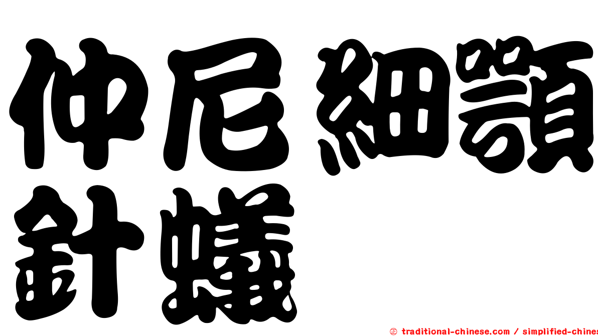 仲尼細顎針蟻