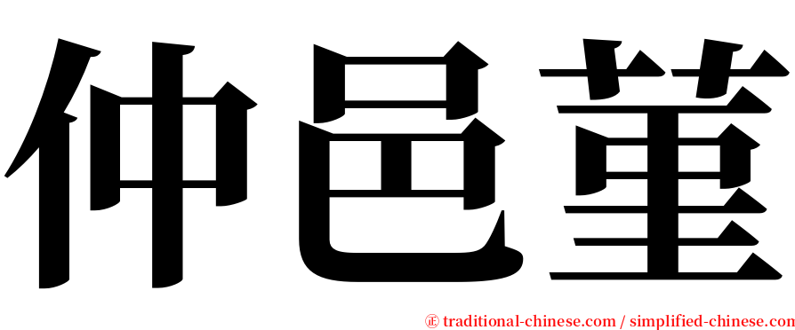 仲邑菫 serif font