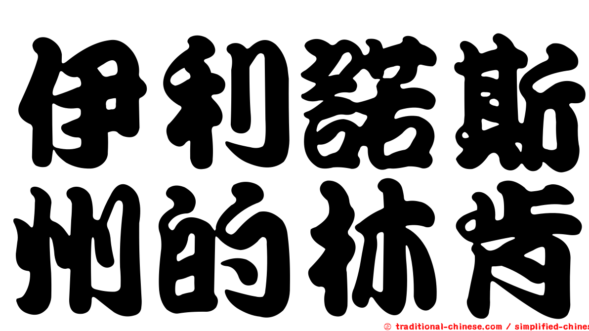 伊利諾斯州的林肯