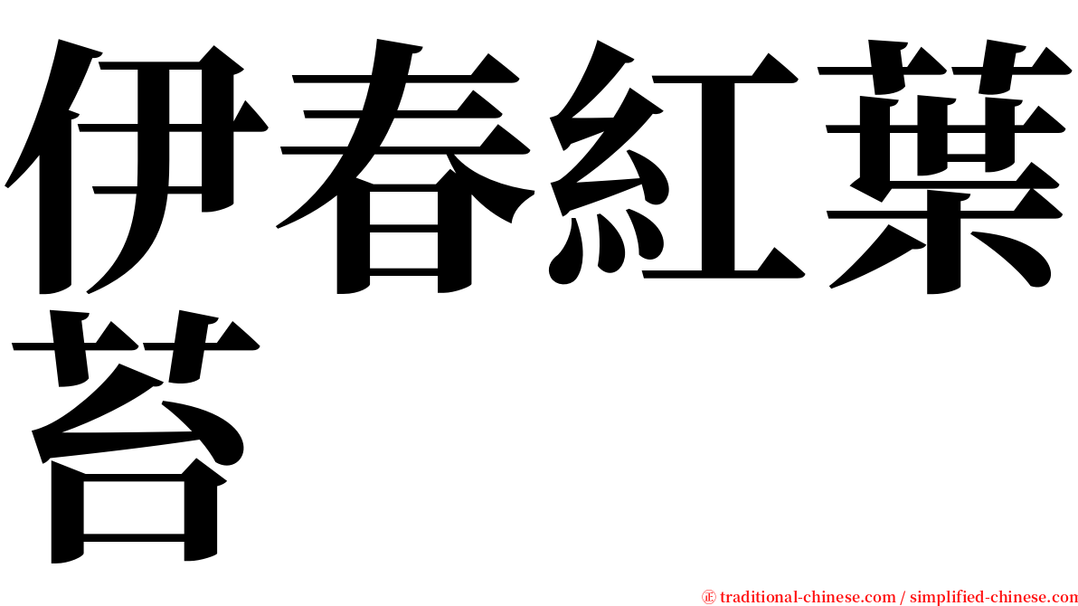 伊春紅葉苔 serif font
